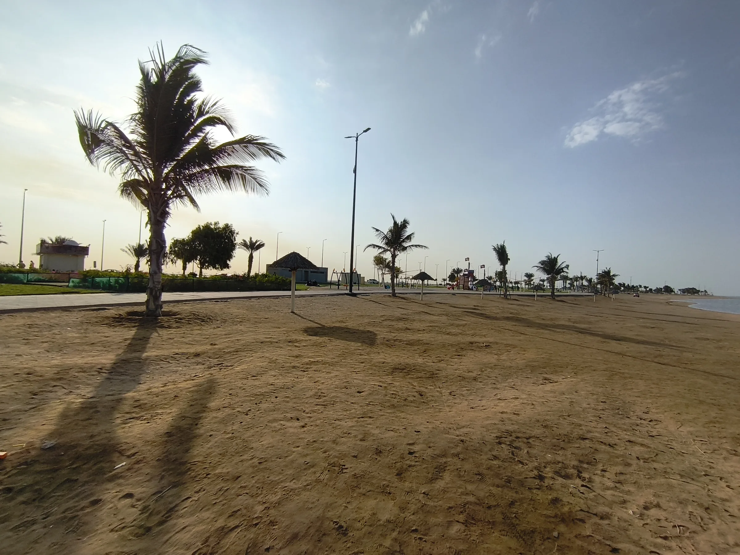 Sandy public beach with palm trees along Jeddah's Red Sea coastline